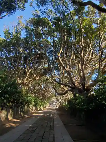 酒列磯前神社の景色