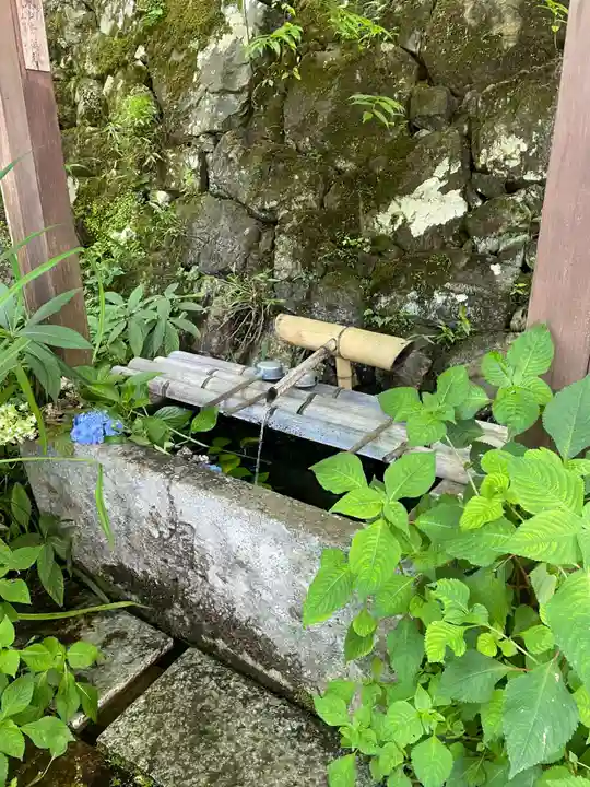 神藏寺(京都府)