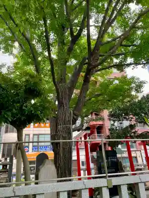 千種稲荷神社の自然