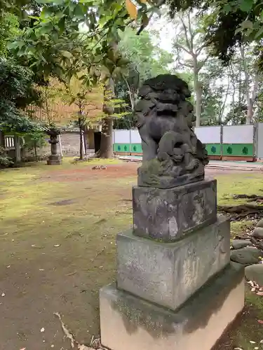 赤坂氷川神社の狛犬