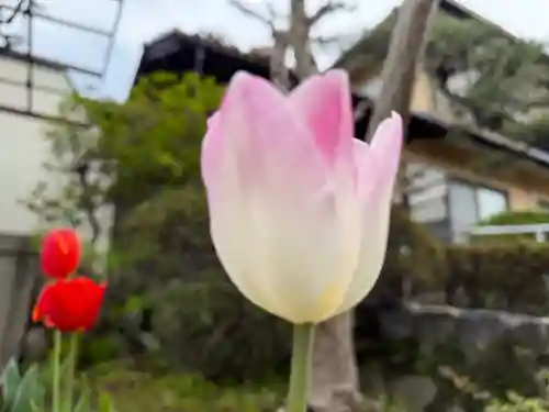 西方山極楽寺(岐阜県)
