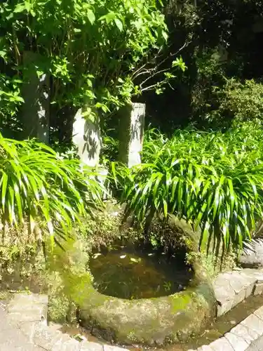 海蔵寺の庭園