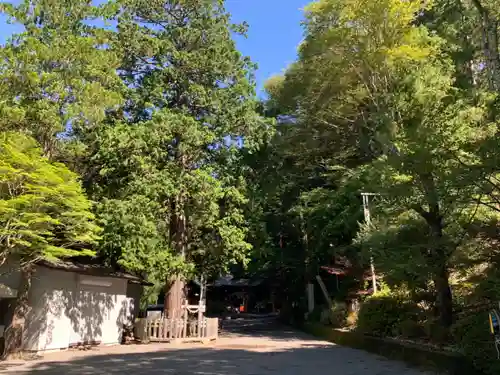 新倉富士浅間神社のその他建物