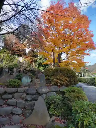 護国寺の庭園