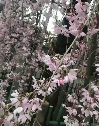 大國魂神社の自然