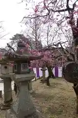 北野天満宮の庭園