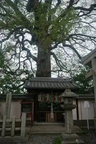新熊野神社の山門・神門