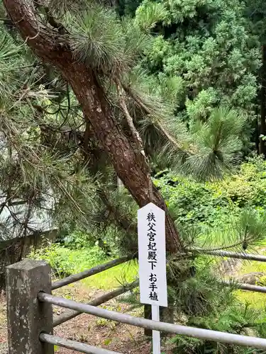 土津神社｜こどもと出世の神さま(福島県)