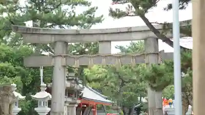 住吉大社(大阪府)