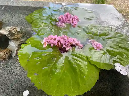 一本栗地主神社の手水