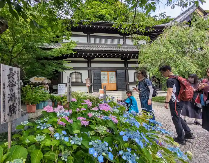 長谷寺(神奈川県)