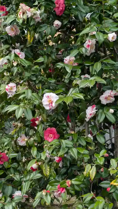 榮春禅寺(栄春寺)(京都府)