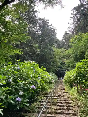 窟神社(栃木県)