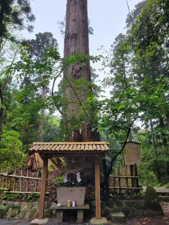 白鳥神社(宮崎県)