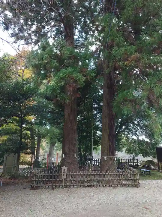 大田原神社(栃木県)
