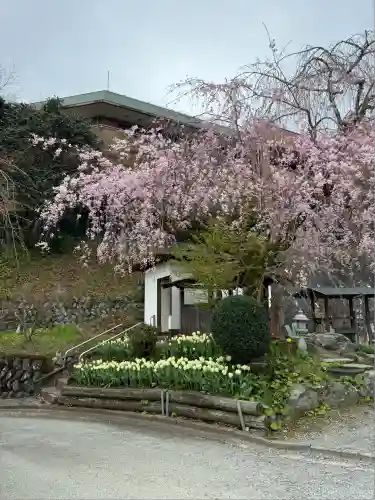 泉蔵寺(神奈川県)