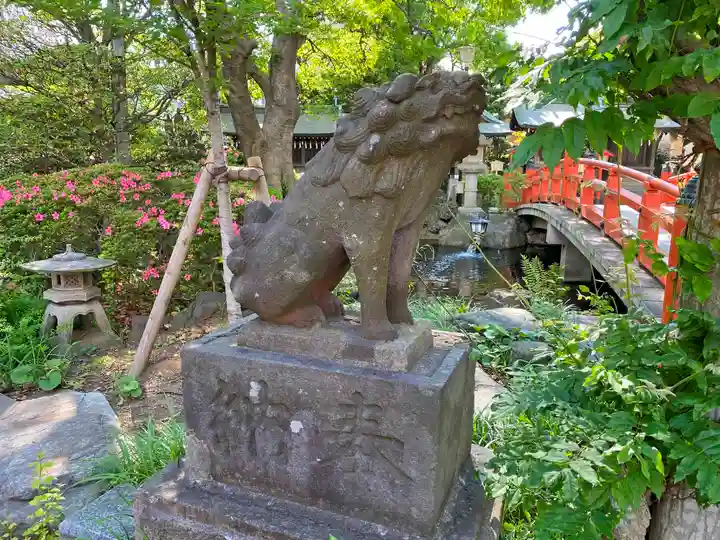 千葉神社の狛犬