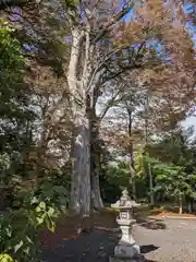 大沼 日吉神社(滋賀県)