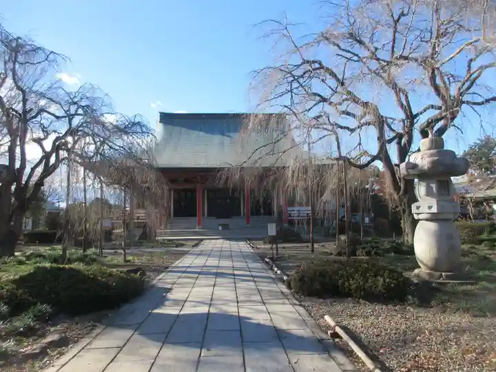 善導寺(群馬県)