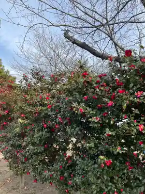 徳川東照宮(群馬県)