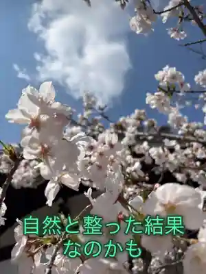 一乗院(和歌山県)