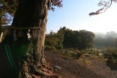 阿久津「田村神社」（郡山市阿久津町）旧社名：伊豆箱根三嶋三社の景色