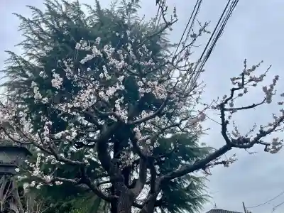 誓閑寺(東京都)