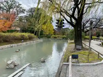 東寺（教王護国寺）(京都府)
