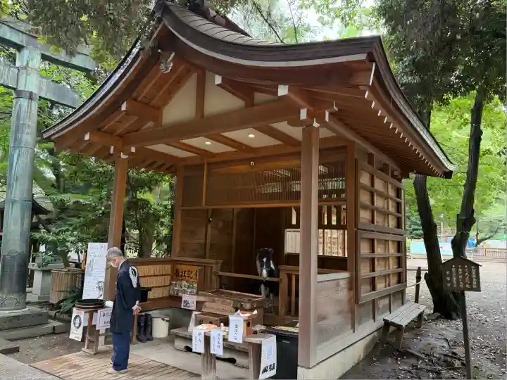 平塚八幡宮(神奈川県)
