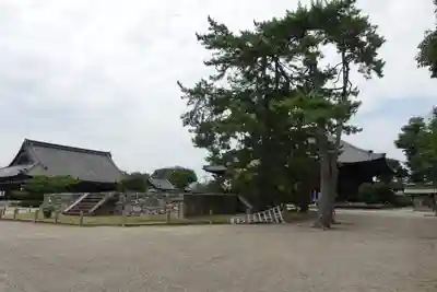 西大寺のその他建物