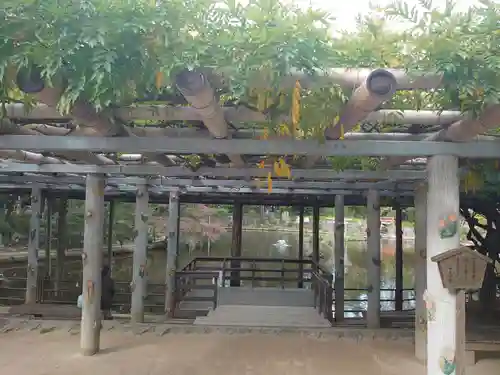 越ヶ谷久伊豆神社の庭園