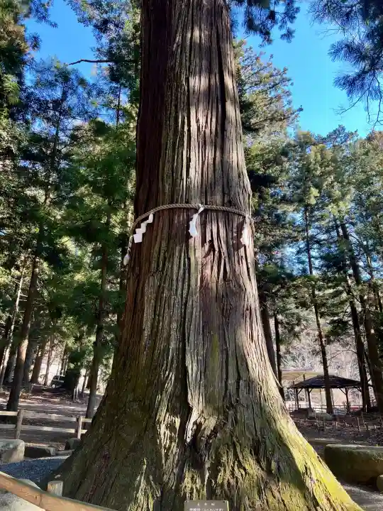 河口浅間神社(山梨県)