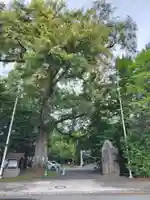 音更神社の自然