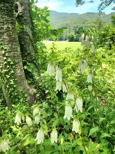 高司神社〜むすびの神の鎮まる社〜(福島県)