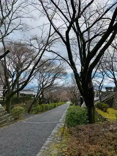 西教寺の建物その他