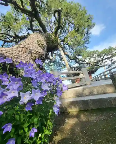 満月寺（浮御堂）の庭園