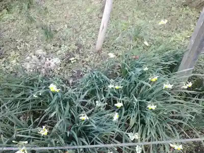 瑞泉寺(神奈川県)