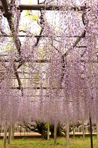 長泉寺(埼玉県)