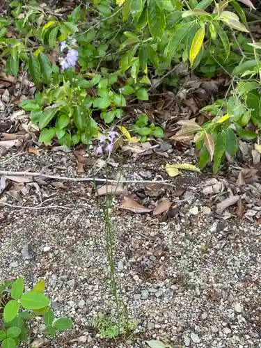貴船神社(岡山県)