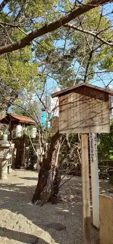 堀越神社の自然