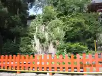 鶴岡八幡宮の自然