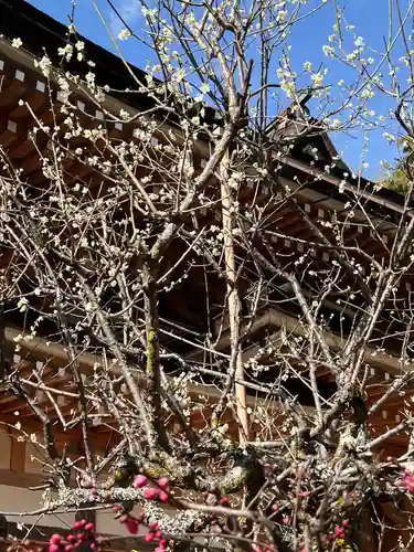 宝厳寺(滋賀県)