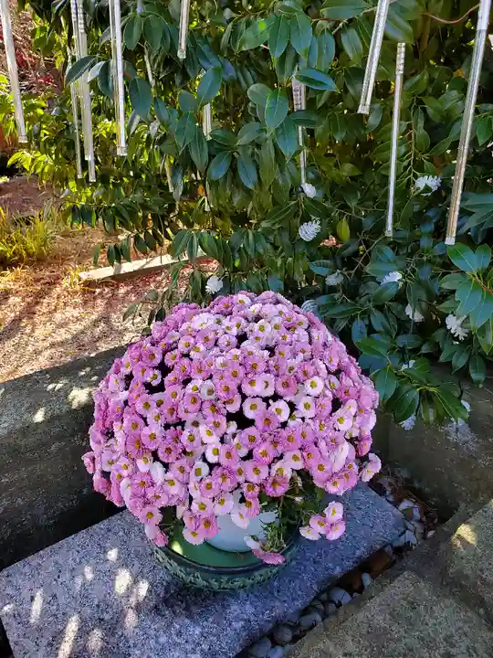 開成山大神宮の自然