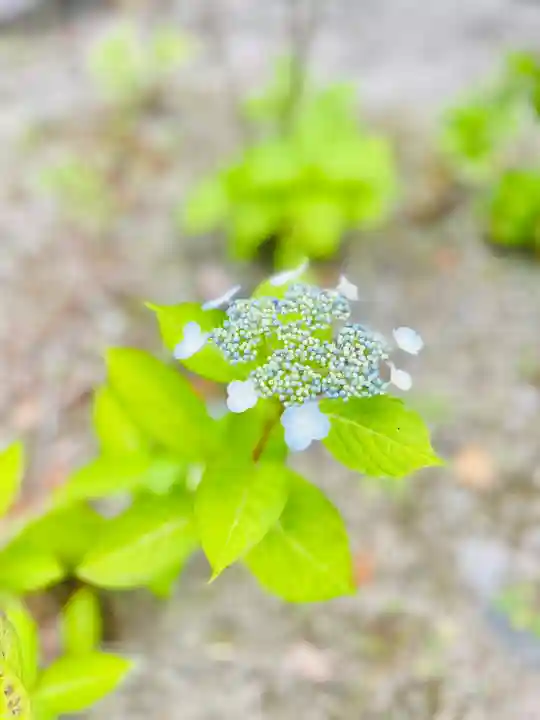 伊勢の国 四天王寺(三重県)