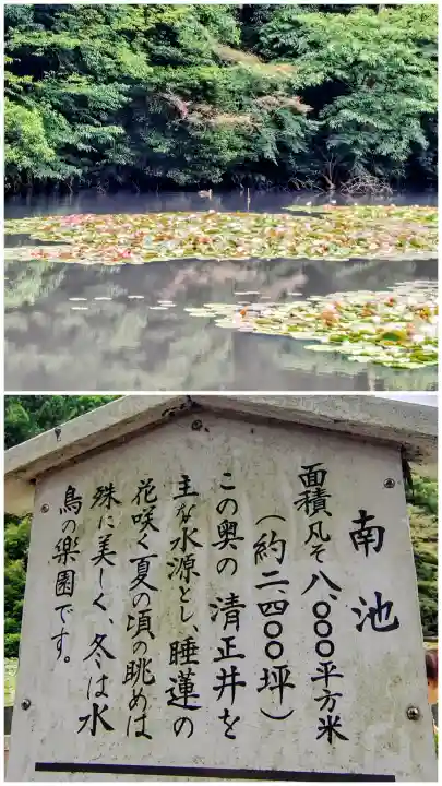 明治神宮(東京都)