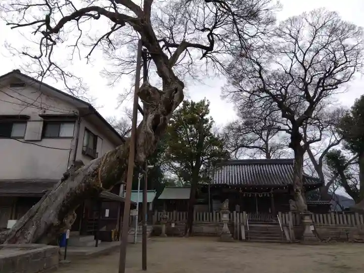 皇大神社(兵庫県)
