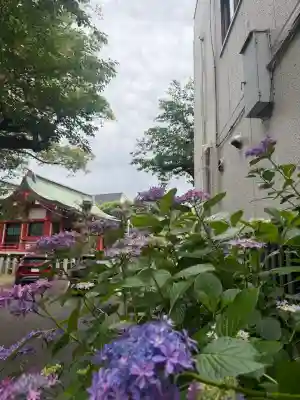 中原八幡神社の{uncategorized: "未分類", other: "その他", undefined: "問題あり", building: "その他建物", grave: "お墓", sacred_gate: "鳥居", guardian: "狛犬", statue: "像", buddha: "仏像", history: "歴史", nature: "自然", garden: "庭園", animal: "動物", pagoda: "塔", temizu: "手水舎", mountain_gate: "山門・神門", sanctuary: "本殿・本堂", subordinate: "末社・摂社", art: "芸術", scenery: "景色", jizo: "地蔵", ema: "絵馬", goshuin: "御朱印", omikuji: "おみくじ", items: "授与品その他", amulet: "お守り", goshuincho: "御朱印帳", eats: "食事", festival: "お祭り", votive_dance: "神楽", shichigosan: "七五三参", wedding: "結婚式", experience: "体験その他", initially: "初詣", around: "周辺", anti_infection: "感染症対策"}