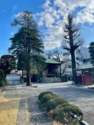 安養寺(東京都)