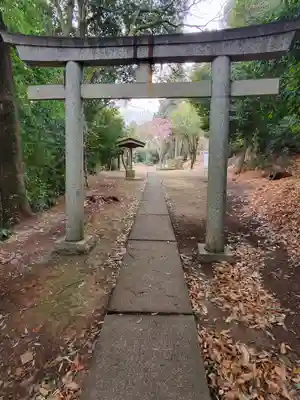 赤城神社 (勧農城跡)(栃木県)