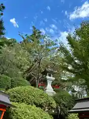 鞍馬寺(京都府)